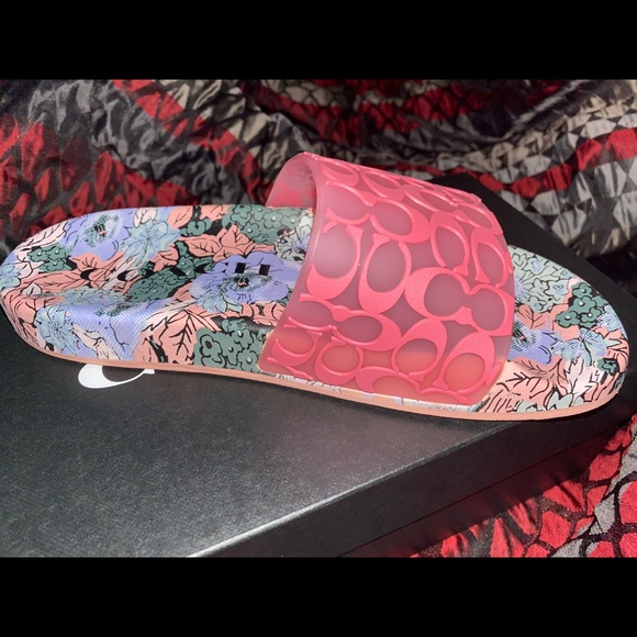 Coach Slides - Picture 4 of 5